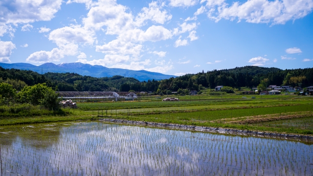 水無月