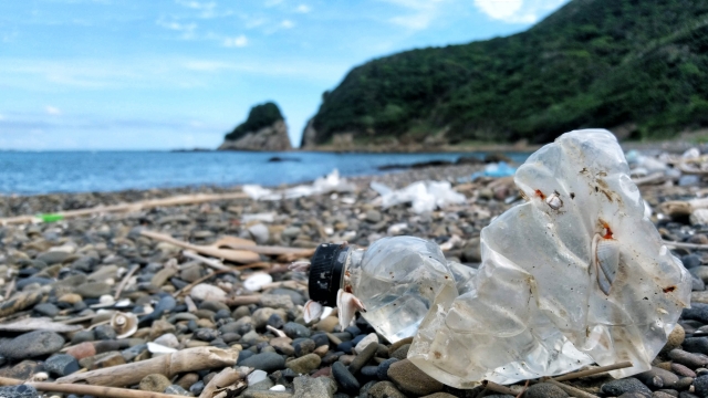 マイクロプラスチック